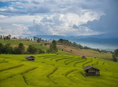 free-photo-of-landscape-photo-of-beautiful-terrace-rice-field-in-chiang-mai-thailand-67bc451d9fdab (1) - Travelpreneur Landscape photo of beautiful terrace rice field in Chiang Mai, Thailand.