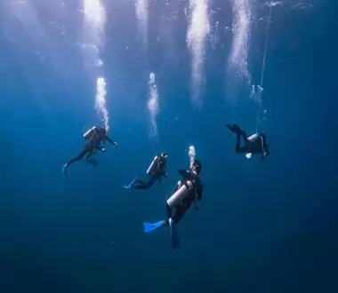 Scuba divers with equipment swimming in water.

