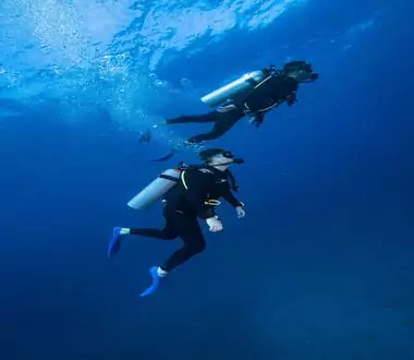 Two divers exploring underwater.