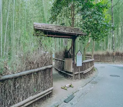 Entrance to the Arashiyama Bamboo Grove in Kyoto, Japan.