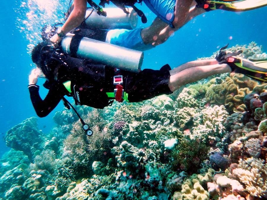 Two men scuba diving in Samal Island.