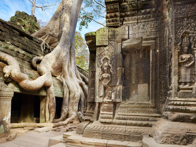 Ancient stone ruins of Ta Prohm temple intertwined with massive tree roots, creating a mystical atmosphere