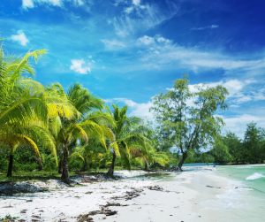 3 - Travelpreneur A serene tropical beach with lush palm trees and pristine white sand under a vibrant blue sky in Cambodia
