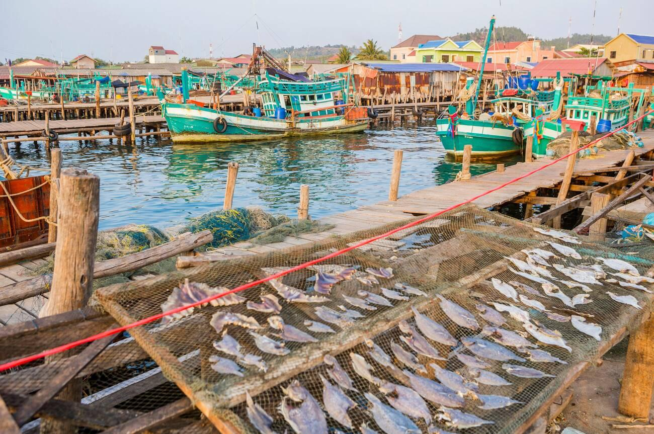 Fishing boats docked at a wooden pier with nets and seafood displayed nearby