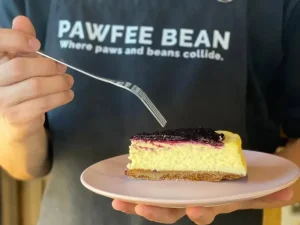 A slice of blueberry cheesecake on a pink plate being held by a person wearing a "Pawfee Bean" apron.