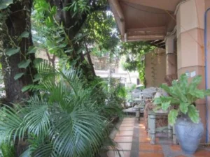 A green outdoor garden with potted plants and shaded walkway