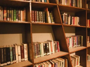 A bookshelf with slanted compartments filled with an assortment of books, showcasing a cozy and vintage aesthetic.