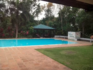 Relaxing outdoor swimming pool with tropical trees and garden setting