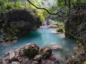 A serene riverbend surrounded by greenery, with clear blue water reflecting the dense forest canopy above.