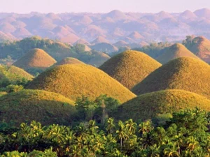 A scenic shot of the Chocolate Hills in Bohol, Philippines, bathed in warm sunlight, surrounded by dense tropical forests and distant peaks