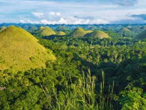 A breathtaking panoramic view of the Chocolate Hills covered in green vegetation, stretching across the horizon under a bright blue sky