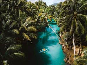 A peaceful lagoon surrounded by towering palm trees, where a person paddles a small blue boat through the crystal-clear water with a rope swing hanging above