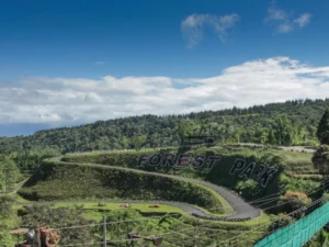 Green hills with a'Forest Park' sign under blue skies