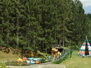 Teepee, pond, and playground in a forest adventure park