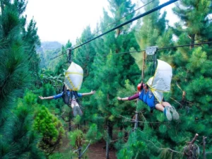Two adventurers soaring through treetops on a zip line