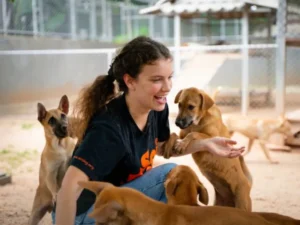 Volunteer Dog Bonding - Travelpreneur Smiling woman playing with rescue dogs in an animal shelter