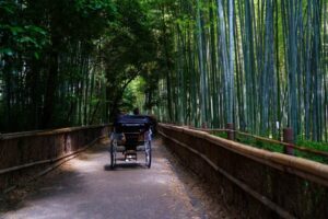 arashiyamabambooforest.com - Travelpreneur an aesthetic atmosphere of the back of a two wheel carriage along the trail of the bamboo trees