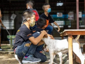Kids Loving Dogs - Travelpreneur Children petting and bonding with dogs at an animal shelter