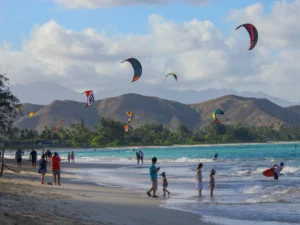 Colorful kitesurfers enjoying strong winds on a tropical beach