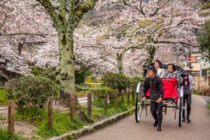 A picture of a hand pulled carriage with tourist at the philosopher's path surrounded by cherry blossom trees.