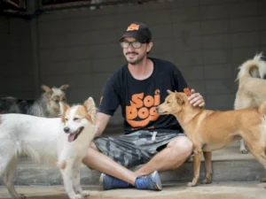 Shelter Dog Bonding - Travelpreneur Man in Soi Dog shirt interacting with multiple shelter dogs