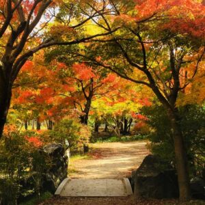 umekoji park - Travelpreneur a pathway at the garden of Umekoji Park