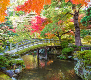 3 kyoto - Travelpreneur Kyoto Gyoen National Garden lovely bridge and lake garden