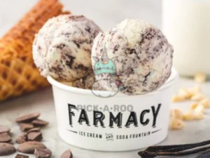Farmacy Choco Swirl - Travelpreneur Two chocolate chip scoops in Farmacy cup with cone