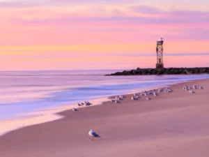 Seagulls resting on beach near lighthouse at sunset