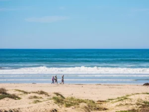Three people walk peacefully along quiet sandy beach shore