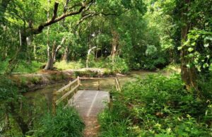 streamer point nature reserve trail
