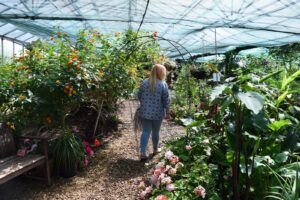 9 butterfly room - Travelpreneur Berkeley Castle Butterfly Room