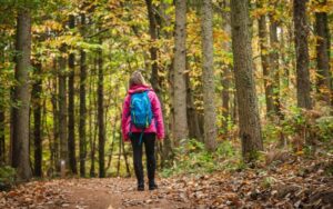 A woman walking on Thetford Forest Trail
