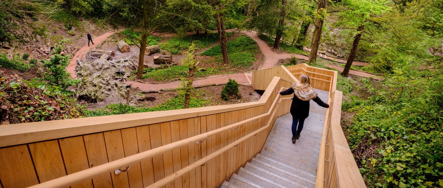 1e woodland walk - Travelpreneur Walmer Castle Woodland Walk's wooden stairs