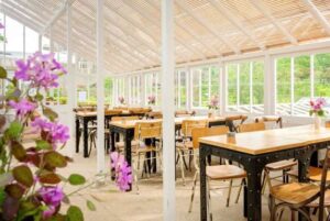 1h glasshouse-cafe-seats - Travelpreneur Walmer Castle Glasshouse Cafe