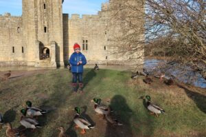 a young boy and ducks on the castle grounds