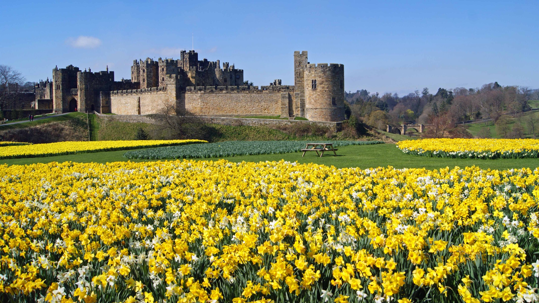 Alnwick Castle Hulne Park beautiful flowers