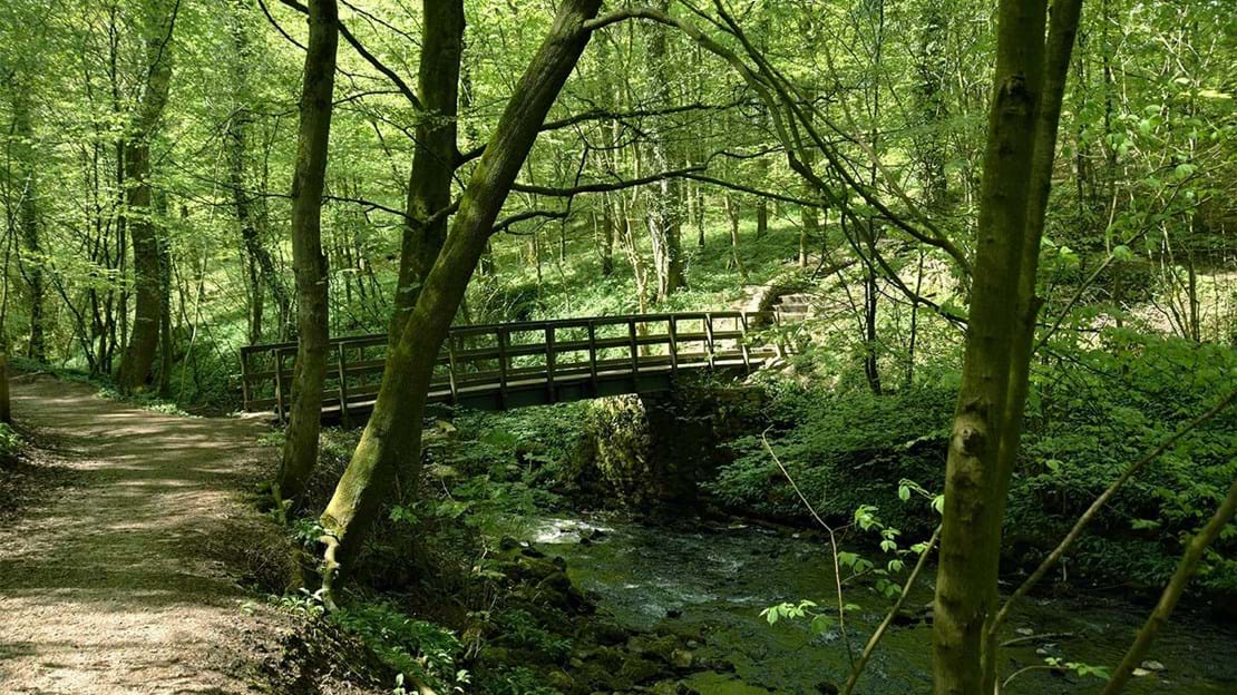 bridge skipton castle-woods trails