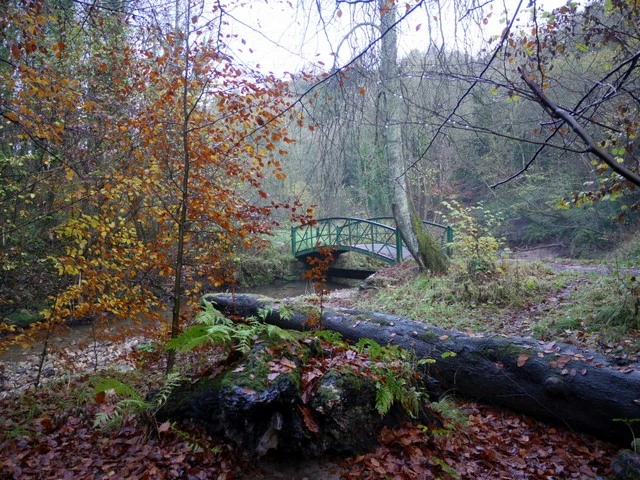 A Bridge at Castle_Eden_Dene - Travelpreneur A Bridge at Castle_Eden_Dene trail