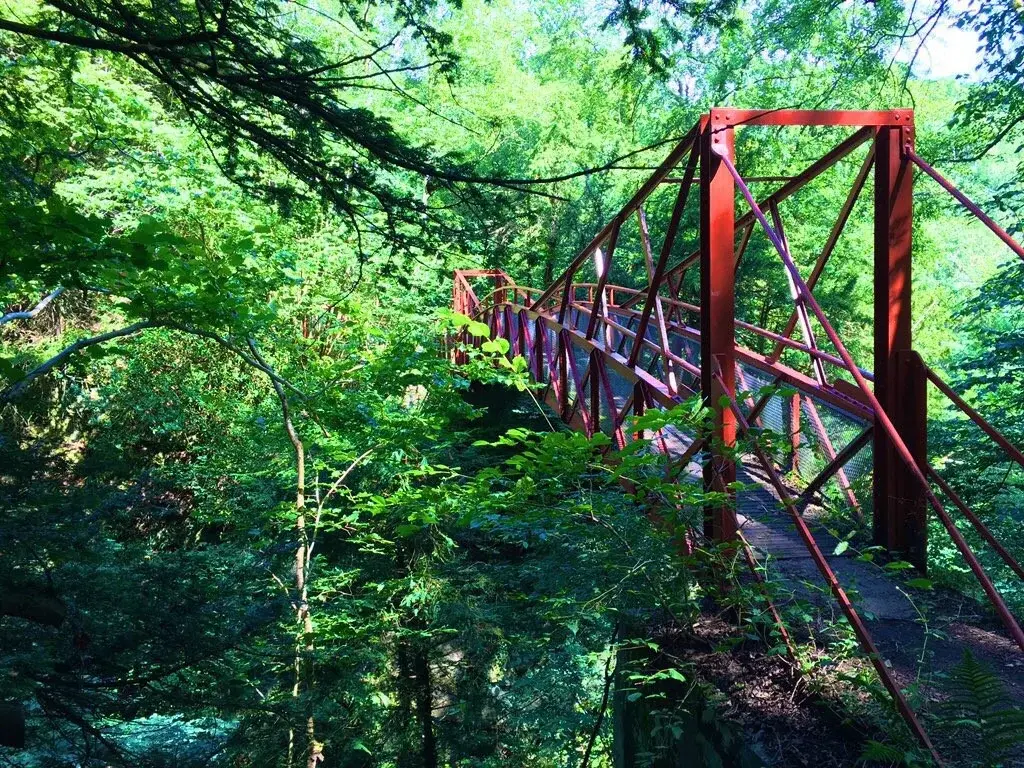 Castle Eden Dene National Nature Reserve 1 - Travelpreneur Castle Eden Dene National Nature Reserve red brigde