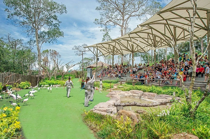 the animal show at the Vinpearl Safari